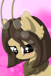 Size: 2400x3600 | Tagged: artist needed, safe, oc, oc only, oc:sepia, species:mothpony, original species, solo