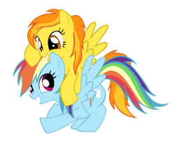 Size: 500x405 | Tagged: artist needed, safe, character:rainbow dash, character:spitfire, ship:spitdash, cute, cutefire, dashabetes, female, grin, happy, lesbian, ponies riding ponies, shipping, smiling, spread wings, wings