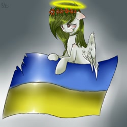 Size: 1100x1100 | Tagged: artist needed, source needed, safe, oc, oc only, nation ponies, crying, flag, solo, ukraine