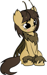 Size: 2959x4757 | Tagged: artist needed, safe, artist:plone, oc, oc only, oc:sepia, species:mothpony, cute, original species, simple background, solo, transparent background, vector