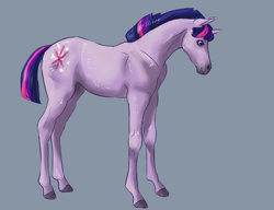 Size: 936x720 | Tagged: artist needed, source needed, safe, part of a set, character:twilight sparkle, species:pony, species:unicorn, g4, colored hooves, drawthread, female, gray background, hoers, hooves, horse, mare, profile, realistic, simple background, solo