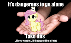 Size: 964x587 | Tagged: artist needed, safe, character:fluttershy, species:human, species:rabbit, chibi, cute, female, hand, image macro, it's dangerous to go alone, meme, shyabetes, solo, take this, the legend of zelda