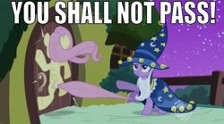Size: 640x355 | Tagged: safe, edit, edited screencap, screencap, character:fluttershy, character:twilight sparkle, episode:luna eclipsed, g4, my little pony: friendship is magic, clothing, costume, duo, flutterdoor, gandalf, gandalf the grey, lord of the rings, nightmare night costume, star swirl the bearded costume, you shall not pass