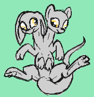 Size: 194x200 | Tagged: artist needed, safe, artist:darkdoomer, character:derpy hooves, oc, conjoined, conjoined twins, cute, derp, digital art, floppy ears, iscribble, multiple heads, multiple limbs, on back, original species, paw fetish, paws, simple background, smiling, solo, species swap, spread legs, toes, two heads, wat
