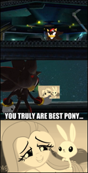 Size: 551x1083 | Tagged: artist needed, source needed, safe, edit, edited screencap, screencap, character:fluttershy, best pony, caption, crossover, image macro, photoshop, shadow the hedgehog, sonic adventure 2, sonic the hedgehog (series)