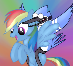 Size: 1171x1052 | Tagged: safe, artist:jjiinx, character:rainbow dash, species:bird, species:pegasus, species:pony, blue jay, crossover, duo, female, mare, mordecai, open mouth, regular show, riding a pony, sitting on, sitting on pony, smiling