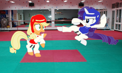 Size: 1144x688 | Tagged: artist needed, safe, edit, character:applejack, character:rarity, species:earth pony, species:pony, species:unicorn, black belt, chest guard, clothing, duo, female, fight, gear, gi, headgear, mare, robe, taekwondo, trousers