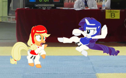 Size: 1176x732 | Tagged: artist needed, safe, edit, character:applejack, character:rarity, species:earth pony, species:pony, species:unicorn, black belt, chest guard, clothing, duo, female, fight, gi, headgear, judges, kicking, mare, martial arts, robe, taekwondo, trousers
