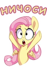 Size: 530x801 | Tagged: artist needed, safe, character:fluttershy, cyrillic, exploitable meme, forced meme, meme, nichosi, reaction image, russian, solo