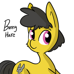 Size: 726x726 | Tagged: safe, artist:tjpones, oc, oc only, oc:bunny hare, solo