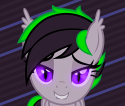 Size: 3692x3138 | Tagged: safe, artist:matthewboyz, oc, oc only, species:bat pony, species:pony, cute, face, front view, request, solo, vector