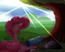 Size: 2500x2000 | Tagged: safe, artist:madacon, character:pinkie pie, species:earth pony, species:pony, newbie artist training grounds, atg 2016, blanket, cloud, crepuscular rays, female, mare, party cannon, rear view, rock, shade, sitting, sky, solo, sun, tree, wrench