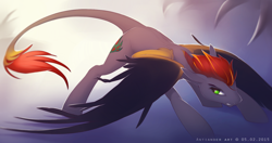 Size: 1280x675 | Tagged: safe, artist:antiander, oc, oc only, species:dracony, species:pony, colored wings, female, hybrid, leonine tail, looking back, mare, solo, spread wings, wings