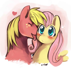 Size: 750x732 | Tagged: safe, artist:ende26, character:big mcintosh, character:fluttershy, species:earth pony, species:pony, ship:fluttermac, blushing, licking, male, shipping, stallion, straight