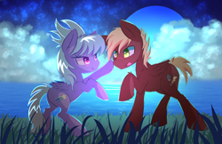 Size: 5950x3850 | Tagged: safe, artist:kawaiipony2, character:cloudchaser, oc, oc:neostrike, species:pegasus, species:pony, absurd resolution, blep, blush sticker, blushing, boop, canon x oc, cloud, colored pupils, commission, eye contact, female, fluffy, grass, lidded eyes, looking at each other, male, moon, neochaser, night, open mouth, raised hoof, rearing, shipping, sky, smiling, stallion, stars, straight, tongue out, water