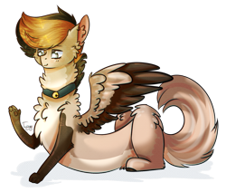 Size: 905x767 | Tagged: safe, artist:twinkepaint, oc, oc only, oc:mio, species:draconequus, species:pony, bell, bell collar, collar, male, simple background, solo, transparent background