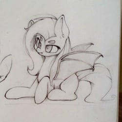 Size: 720x720 | Tagged: safe, artist:pinkieeighttwo, character:flutterbat, character:fluttershy, species:bat pony, species:pony, beanbrows, eyebrows, monochrome, prone, race swap, sketch, solo, traditional art