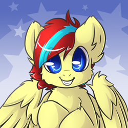 Size: 900x900 | Tagged: safe, artist:sapphfyr, oc, oc only, oc:cloud circuit, species:pegasus, species:pony, abstract background, bust, chest fluff, colored pupils, commission, fluffy, looking at you, male, portrait, solo, stallion, wings