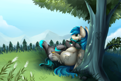 Size: 4117x2757 | Tagged: safe, artist:pridark, oc, oc only, oc:rain runner, oc:star, species:pegasus, species:pony, absurd resolution, against tree, commission, cute, forest, gay, grass, lying down, male, mountain, on back, outdoors, pine tree, relaxing, scenery, smiling, stallion, tree, tree carving, under the tree