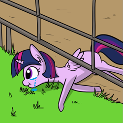 Size: 675x676 | Tagged: safe, artist:tjpones, edit, editor:artiks, character:twilight sparkle, character:twilight sparkle (alicorn), species:alicorn, species:pony, :t, crying, curved horn, cute, ear fluff, eating, fence, grass, missing cutie mark, on side, ponified animal photo, sad, silly, silly pony, smiling, solo, twiabetes