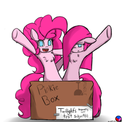 Size: 1280x1280 | Tagged: safe, artist:genericmlp, character:pinkamena diane pie, character:pinkie pie, species:pony, box, chest fluff, duality, pony in a box, self ponidox