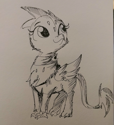 Size: 1440x1584 | Tagged: safe, artist:tjpones, character:greta, species:griffon, inktober, black and white, clothing, cute, grayscale, gretadorable, monochrome, scarf, sketch, solo, traditional art