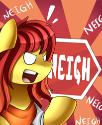 Size: 1446x1764 | Tagged: safe, artist:pridark, oc, oc only, species:earth pony, species:pony, clothing, commission, female, frown, glare, hexagon, mare, neigh, open mouth, shirt, sign, solo, sunburst background, text, unstable unicorns, wide eyes