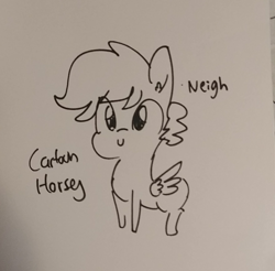 Size: 1084x1065 | Tagged: safe, artist:tjpones, oc, oc only, species:pegasus, species:pony, inktober, black and white, ear fluff, grayscale, lineart, monochrome, neigh, solo, traditional art