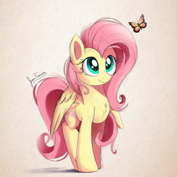 Size: 1800x1800 | Tagged: safe, artist:bugplayer, character:fluttershy, species:pegasus, species:pony, butterfly, chest fluff, colored sketch, cute, featured on derpibooru, female, looking at something, looking up, mare, shyabetes, simple background, smiling, solo, standing, stare, sweet dreams fuel