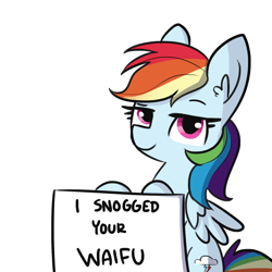 Size: 1650x1650 | Tagged: safe, artist:tjpones, character:rainbow dash, species:pegasus, species:pony, ear fluff, female, implied lesbian, lidded eyes, looking at you, mare, pony shaming, pure unfiltered evil, shaming, sign, simple background, smug, solo, text, waifu, white background, wings