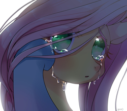 Size: 1600x1400 | Tagged: safe, artist:zakro, character:fluttershy, character:rainbow dash, species:pegasus, species:pony, comforting, crying, female, looking at you, mare, offscreen character, pov, sad, simple background, white background