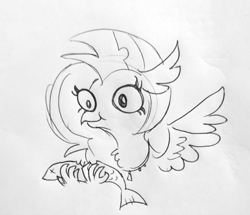 Size: 1593x1373 | Tagged: safe, artist:tjpones, character:silverstream, species:hippogriff, bust, chest fluff, dead, eating, female, fish, grayscale, ink drawing, lineart, monochrome, simple background, solo, spread wings, traditional art, white background, wings, x eyes