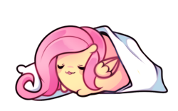 Size: 900x565 | Tagged: safe, artist:pekou, character:fluttershy, ask my little chubbies, chubbie, ask, blanket, blob ponies, chibi, cute, my little chubbies, pillow, shyabetes, simple background, sleeping, transparent background