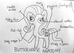 Size: 1280x917 | Tagged: safe, artist:tjpones, character:fluttershy, species:pegasus, species:pony, aminals, anatomy, anatomy chart, anatomy guide, chart, derp, female, lineart, mare, raised hoof, silly art, simple background, solo, traditional art