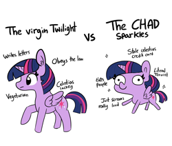 Size: 1950x1650 | Tagged: safe, artist:tjpones, character:twilight sparkle, character:twilight sparkle (alicorn), species:alicorn, species:pony, chad, derp, ear fluff, featured on derpibooru, female, frown, implied cannibalism, implied princess celestia, know the difference, mare, meme, parody, raised hoof, simple background, smiling, sparkles, sparkles! the wonder horse!, terrorist, vegetarian, virgin, virgin walk, white background, wide eyes
