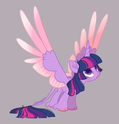 Size: 1280x1334 | Tagged: safe, artist:nemovonsilver, character:twilight sparkle, character:twilight sparkle (alicorn), species:alicorn, species:pony, cloven hooves, colored hooves, colored wings, cute, female, gradient wings, gray background, horn, leonine tail, looking up, mare, open mouth, simple background, solo, spread wings, unshorn fetlocks, wings