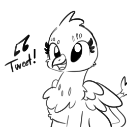 Size: 1280x1280 | Tagged: safe, artist:tjpones, character:gabby, species:griffon, birb, birds doing bird things, black and white, chest fluff, chirping, cute, female, gabbybetes, grayscale, griffons doing bird things, lineart, monochrome, open mouth, singing, solo