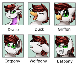 Size: 2349x1978 | Tagged: safe, artist:pridark, oc, oc only, oc:graph travel, species:bat pony, species:dracony, species:dragon, species:duck, species:griffon, species:wolf, bat ponified, bat wings, cat, catpony, confused, dragonified, duck pony, duckified, ear fluff, fangs, graph believe being bird, griffon oc, griffonized, happy, howling, hybrid, looking at you, music notes, original species, race swap, singing, smiling, smirk, solo, species swap, transformation, wings, wolf pony, wolfied