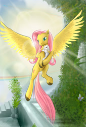 Size: 1462x2153 | Tagged: safe, artist:devinian, character:angel bunny, character:fluttershy, species:pegasus, species:pony, butterfly, female, flying, grass, mare, spread wings, sunlight, wings