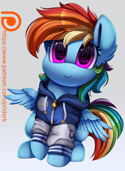 Size: 2550x3509 | Tagged: safe, artist:pridark, character:rainbow dash, species:pegasus, species:pony, clothing, cute, dashabetes, ear fluff, eye reflection, female, hoodie, looking at you, mare, patreon, patreon logo, pridark is trying to murder us, reflection, sitting, smiling, solo, weapons-grade cute, wing fluff, wonderbolts hoodie