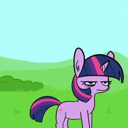 Size: 1650x1650 | Tagged: safe, artist:tjpones, edit, character:twilight sparkle, character:twilight sparkle (unicorn), species:pony, species:unicorn, episode:friendship is magic, g4, my little pony: friendship is magic, bags under eyes, female, grumpy, grumpy twilight, mare, resting bitch face, solo, twilight is not amused, unamused