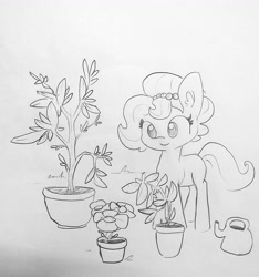 Size: 1389x1485 | Tagged: safe, artist:tjpones, oc, oc only, oc:brownie bun, species:earth pony, species:pony, horse wife, ear fluff, female, flower, flower pot, grayscale, mare, monochrome, plant, simple background, solo, traditional art, watering can