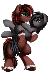 Size: 2343x3395 | Tagged: safe, artist:pridark, oc, oc only, oc:aubade, oc:liath mac medb, species:earth pony, species:pony, bridal carry, carrying, commission, couple, dawwww, female, gift art, holding a pony, husband, husband and wife, just married, male, mare, simple background, stallion, straight, transparent background, wife