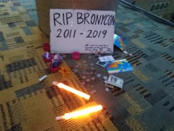 Size: 2592x1944 | Tagged: safe, artist:grievousfan, character:rarity, species:pony, 2019, brony history, bronycon, bronycon shrine, end of an era, end of bronycon, end of ponies, irl, it begins, photo, rest in peace, shrine, the end, the end is neigh, the ride ends