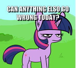 Size: 1325x1181 | Tagged: safe, artist:tjpones, edit, character:twilight sparkle, annoyed, bad day, caption, grumpy, grumpy twilight, image macro, misspelling, question, tempting fate, text