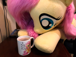 Size: 4032x3024 | Tagged: safe, artist:bugplayer, artist:natureshy, artist:qtpony, character:fluttershy, species:pegasus, species:pony, chocolate, cup, cute, drink, faux fur, female, food, hot chocolate, life size, mare, mug, plushie, shyabetes, solo, weapons-grade cute