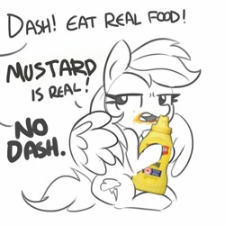 Size: 600x600 | Tagged: safe, artist:tjpones, character:rainbow dash, species:pegasus, species:pony, dialogue, food, mustard, offscreen character, rainbow dumb, rainbow mustard, sauce, simple background, that pony sure does love mustard, white background