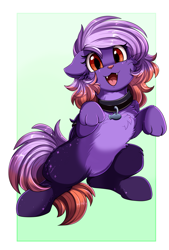 Size: 1771x2625 | Tagged: safe, artist:pridark, oc, oc only, oc:ardent dusk, species:pony, cat, catpony, cheek fluff, chest fluff, collar, cute, cute little fangs, fangs, floppy ears, original species, pale belly, paws, solo