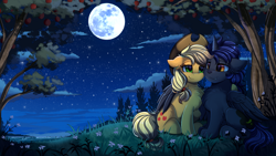 Size: 2920x1642 | Tagged: safe, artist:pridark, character:applejack, oc, species:alicorn, species:earth pony, species:pony, g4, alicorn oc, apple, apple tree, canon x oc, chest fluff, clothing, commission, cowboy hat, cute, duo, flower, full moon, hat, horn, moon, night, night sky, nuzzling, original species, paws, scenery, scenery porn, shipping, sitting, sky, stars, stetson, tree, wings