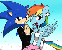 Size: 900x725 | Tagged: safe, artist:sandwich-anomaly, character:rainbow dash, character:sonic the hedgehog, species:anthro, clothing, commission, crossover, crossover shipping, dress, female, flower, haters gonna hate, male, marriage, ring, sonic the hedgehog (series), sonicdash, straight, tuxedo, wedding